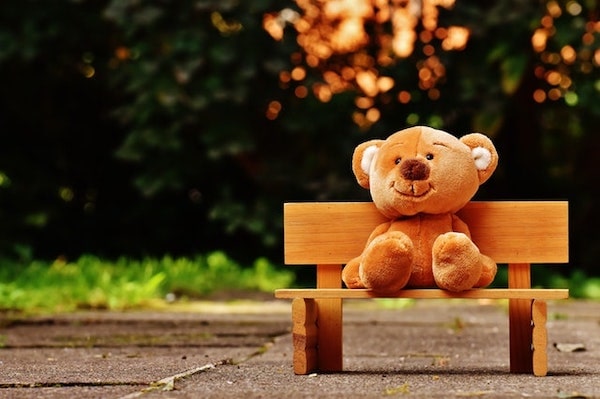 teddy bear on bench